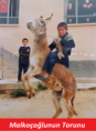 /album/resim-galerisi/a1924833-722382404470909-386008616-n-png/